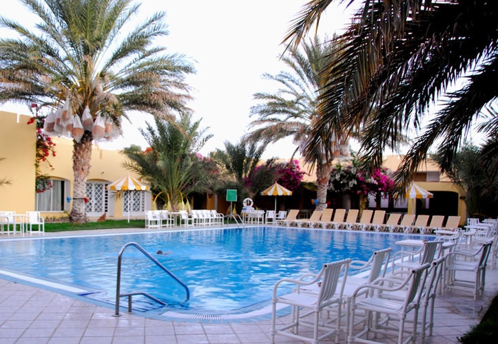 Sun Palm